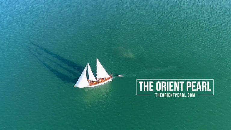 ‘ORIENT PEARL’  – Sailing in Paradise